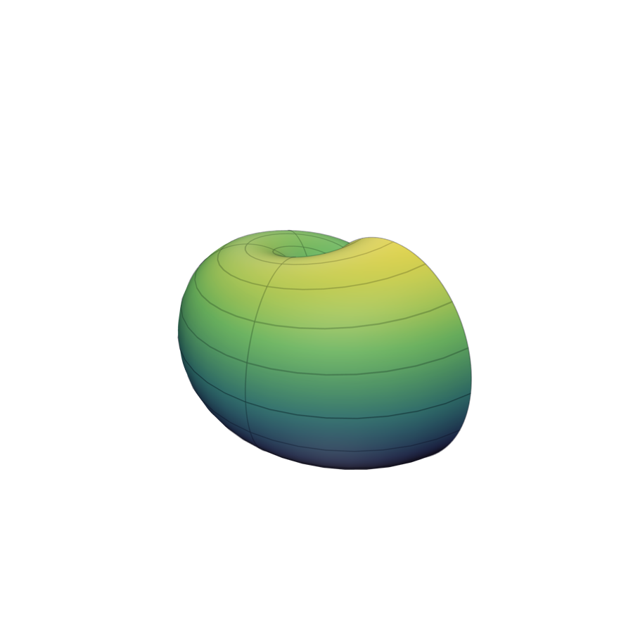 A nautilus shell surface